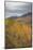 USA, Colorado, Gunnison NF. Aspen Grove at Peak Autumn Color-Don Grall-Mounted Photographic Print