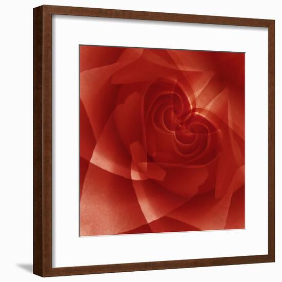 USA, Colorado, Lafayette. Red Rose Montage-Jaynes Gallery-Framed Photographic Print