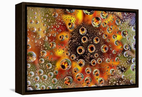 USA, Colorado, Lafayette. Water Bubbles on Glass Table Top-Jaynes Gallery-Framed Premier Image Canvas