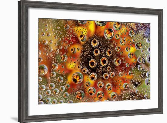 USA, Colorado, Lafayette. Water Bubbles on Glass Table Top-Jaynes Gallery-Framed Photographic Print