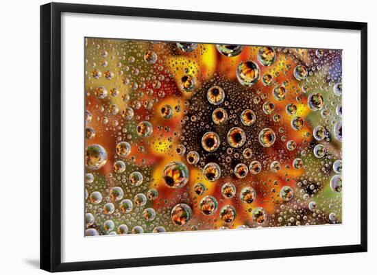 USA, Colorado, Lafayette. Water Bubbles on Glass Table Top-Jaynes Gallery-Framed Photographic Print