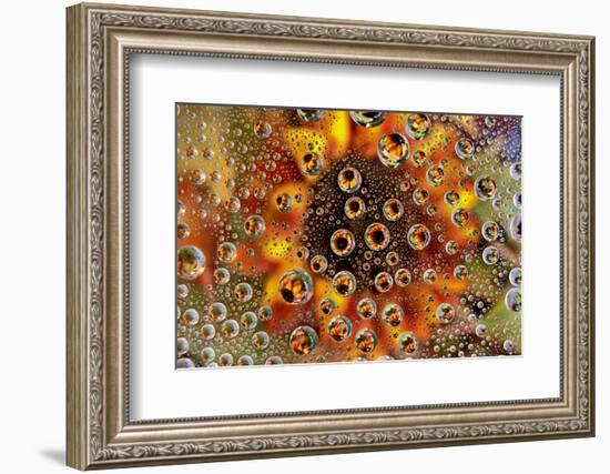 USA, Colorado, Lafayette. Water Bubbles on Glass Table Top-Jaynes Gallery-Framed Photographic Print