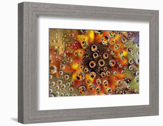 USA, Colorado, Lafayette. Water Bubbles on Glass Table Top-Jaynes Gallery-Framed Photographic Print