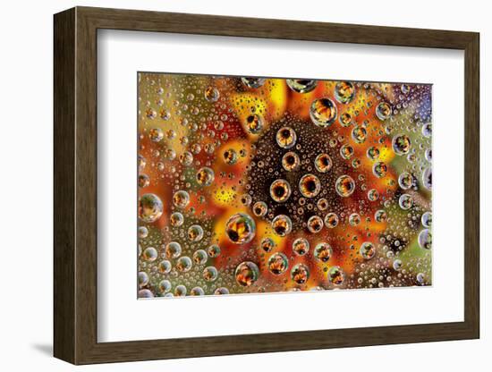 USA, Colorado, Lafayette. Water Bubbles on Glass Table Top-Jaynes Gallery-Framed Photographic Print