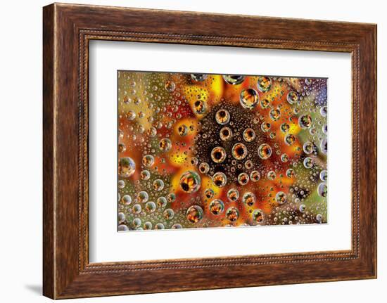 USA, Colorado, Lafayette. Water Bubbles on Glass Table Top-Jaynes Gallery-Framed Photographic Print