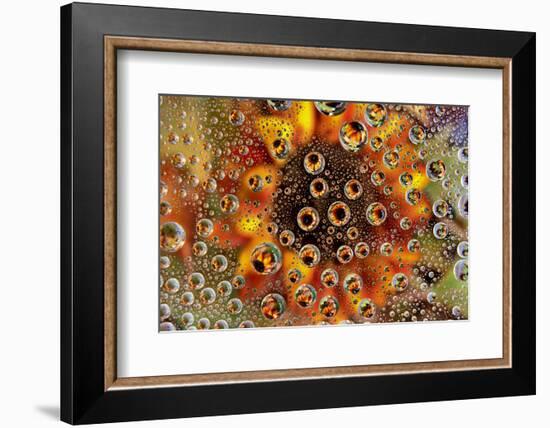 USA, Colorado, Lafayette. Water Bubbles on Glass Table Top-Jaynes Gallery-Framed Photographic Print