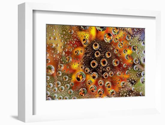 USA, Colorado, Lafayette. Water Bubbles on Glass Table Top-Jaynes Gallery-Framed Photographic Print