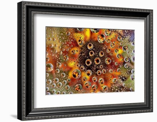 USA, Colorado, Lafayette. Water Bubbles on Glass Table Top-Jaynes Gallery-Framed Photographic Print