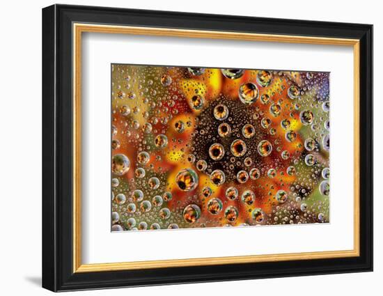 USA, Colorado, Lafayette. Water Bubbles on Glass Table Top-Jaynes Gallery-Framed Photographic Print