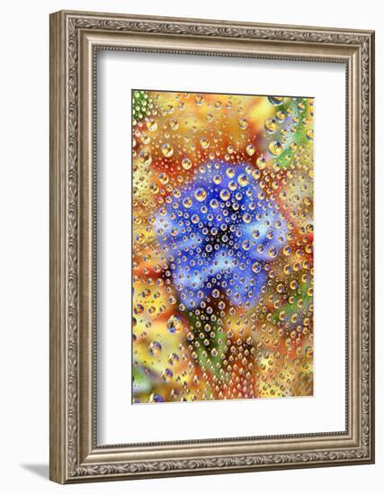 USA, Colorado, Lafayette. Water Bubbles on Glass Table Top-Jaynes Gallery-Framed Photographic Print