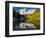 USA, Colorado, Maroon Bells-George Theodore-Framed Photographic Print