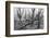 USA, Colorado, Mesa Verde, National Park, burnt forest in the fog-Christian Heeb-Framed Photographic Print