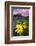 USA, Colorado, Mt. Crested Butte. Meadow Wildflowers at Sunset-Jaynes Gallery-Framed Photographic Print