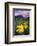 USA, Colorado, Mt. Crested Butte. Meadow Wildflowers at Sunset-Jaynes Gallery-Framed Photographic Print