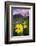 USA, Colorado, Mt. Crested Butte. Meadow Wildflowers at Sunset-Jaynes Gallery-Framed Photographic Print