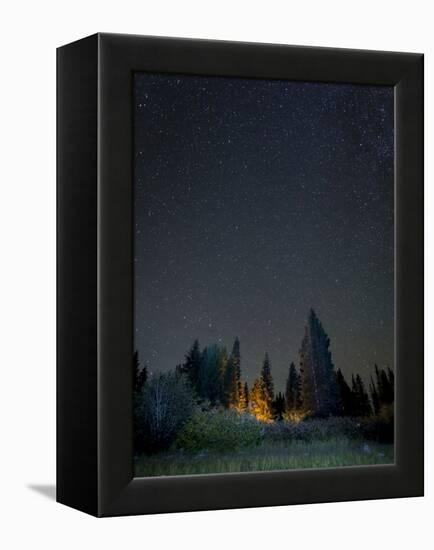 USA, Colorado. Night Sky at Lost Lake Slough-Jaynes Gallery-Framed Premier Image Canvas