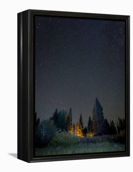 USA, Colorado. Night Sky at Lost Lake Slough-Jaynes Gallery-Framed Premier Image Canvas
