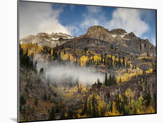 USA, Colorado, Ouray, Fall Color on Mountainside-Ann Collins-Mounted Photographic Print