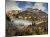 USA, Colorado, Ouray, Fall Color on Mountainside-Ann Collins-Mounted Photographic Print