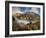 USA, Colorado, Ouray, Fall Color on Mountainside-Ann Collins-Framed Photographic Print