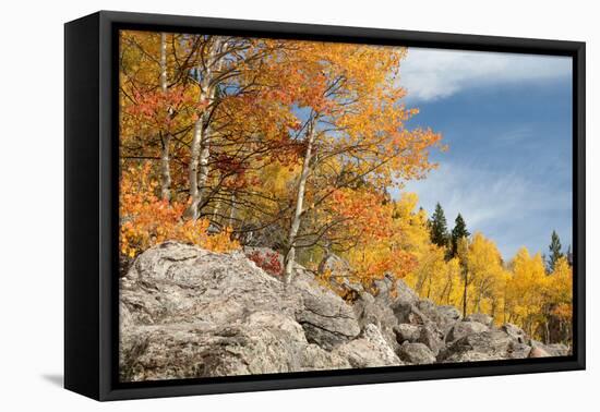 USA, Colorado, Rocky Mountain National Park. Autumn Scenic-Jaynes Gallery-Framed Premier Image Canvas