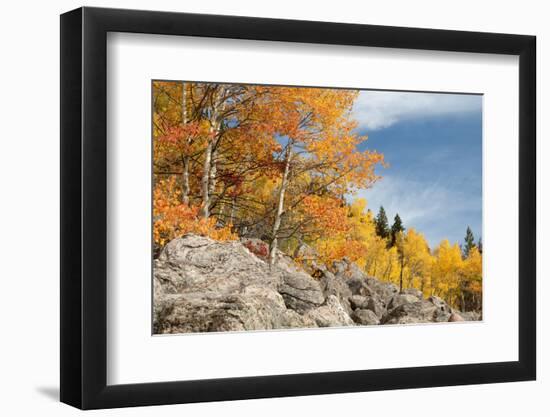 USA, Colorado, Rocky Mountain National Park. Autumn Scenic-Jaynes Gallery-Framed Photographic Print