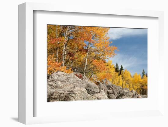 USA, Colorado, Rocky Mountain National Park. Autumn Scenic-Jaynes Gallery-Framed Photographic Print