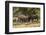 USA, Colorado, Rocky Mountain National Park. Male elks sparring.-Jaynes Gallery-Framed Photographic Print