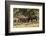 USA, Colorado, Rocky Mountain National Park. Male elks sparring.-Jaynes Gallery-Framed Photographic Print