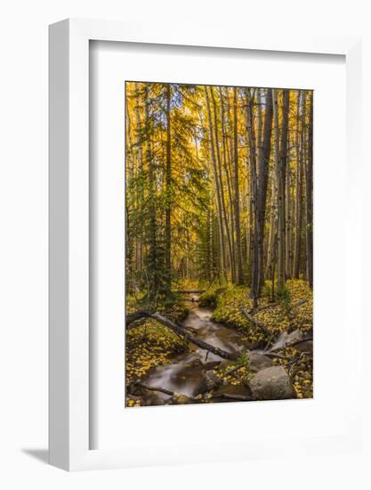 USA, Colorado, Rocky Mountain National Park. Waterfall in forest scenic.-Jaynes Gallery-Framed Photographic Print