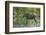 USA, Colorado, Rocky Mountain NP. Male Moose Crossing Colorado River-Cathy & Gordon Illg-Framed Photographic Print