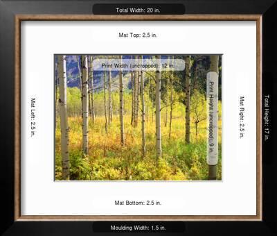 Usa Colorado Rocky Mountains Aspen Trees In Autumn In The Rockies Photographic Print Jaynes Gallery Art Com