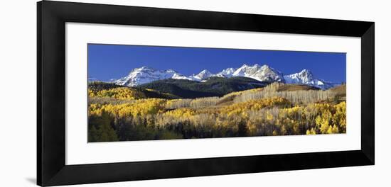 USA, Colorado, Rocky Mountains, Aspens, Autumn-null-Framed Photographic Print