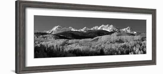 Usa, Colorado, Rocky Mountains, Aspens, Autumn--Framed Photographic Print