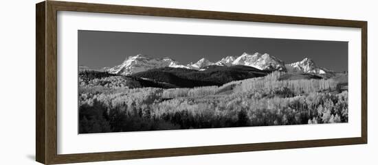 Usa, Colorado, Rocky Mountains, Aspens, Autumn-null-Framed Photographic Print