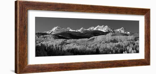 Usa, Colorado, Rocky Mountains, Aspens, Autumn-null-Framed Photographic Print