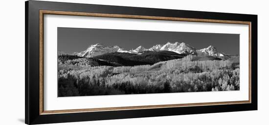 Usa, Colorado, Rocky Mountains, Aspens, Autumn-null-Framed Photographic Print