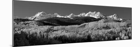 Usa, Colorado, Rocky Mountains, Aspens, Autumn-null-Mounted Photographic Print