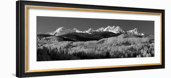 Usa, Colorado, Rocky Mountains, Aspens, Autumn-null-Framed Photographic Print