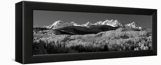 Usa, Colorado, Rocky Mountains, Aspens, Autumn-null-Framed Premier Image Canvas