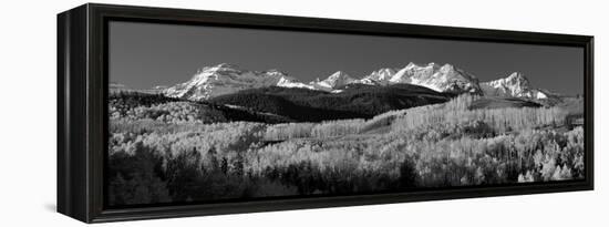 Usa, Colorado, Rocky Mountains, Aspens, Autumn-null-Framed Premier Image Canvas