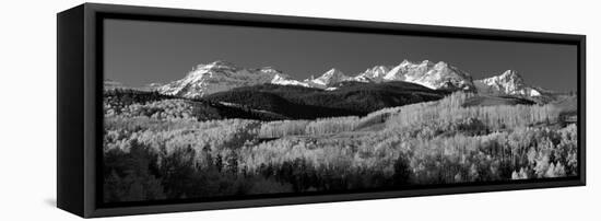 Usa, Colorado, Rocky Mountains, Aspens, Autumn-null-Framed Premier Image Canvas