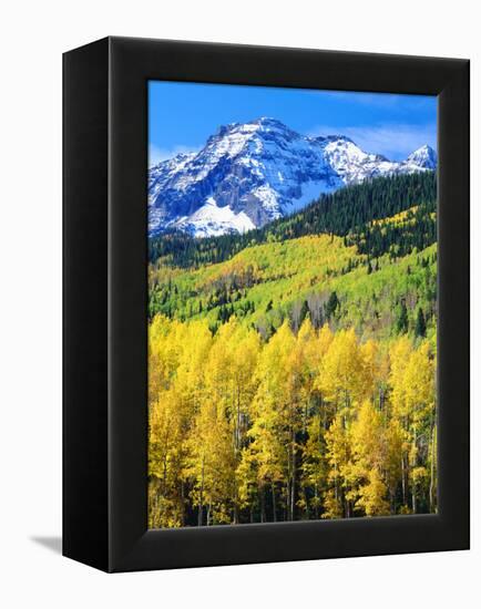 USA, Colorado, Rocky Mountains, Autumn in the Rockies-Jaynes Gallery-Framed Premier Image Canvas