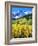 USA, Colorado, Rocky Mountains, Autumn in the Rockies-Jaynes Gallery-Framed Photographic Print