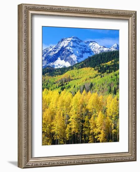 USA, Colorado, Rocky Mountains, Autumn in the Rockies-Jaynes Gallery-Framed Photographic Print