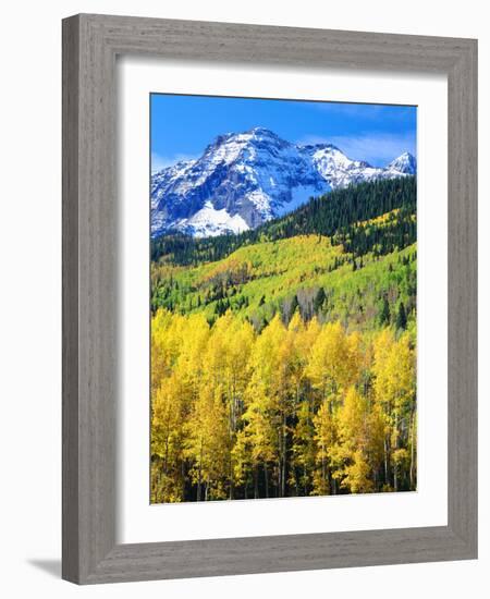 USA, Colorado, Rocky Mountains, Autumn in the Rockies-Jaynes Gallery-Framed Photographic Print