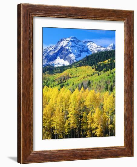 USA, Colorado, Rocky Mountains, Autumn in the Rockies-Jaynes Gallery-Framed Photographic Print