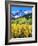 USA, Colorado, Rocky Mountains, Autumn in the Rockies-Jaynes Gallery-Framed Photographic Print