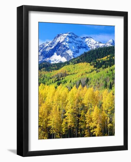 USA, Colorado, Rocky Mountains, Autumn in the Rockies-Jaynes Gallery-Framed Photographic Print