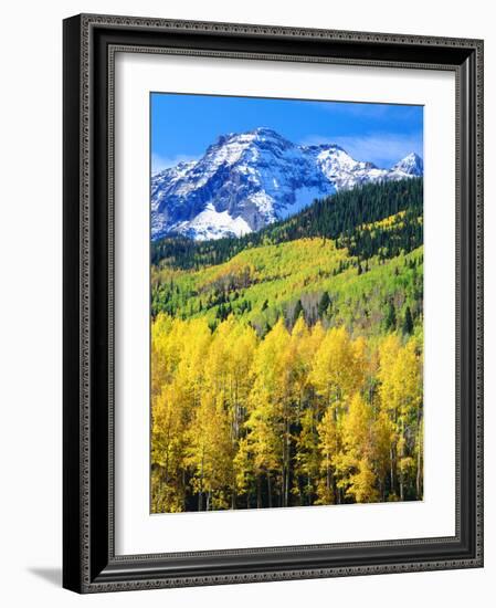 USA, Colorado, Rocky Mountains, Autumn in the Rockies-Jaynes Gallery-Framed Photographic Print